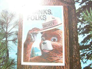 1967 Smokey Bear Padept Forest&waters Poster