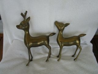 Vintage,  Lovely,  Large 11 " Tall Solid Brass Deer [ Set Of 2 Buck & Doe]