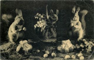 Greetings Postcard Hungary Dressed Squirells Easter Fantasy