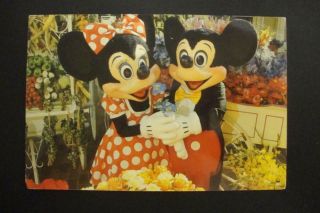 623) Walt Disney World Mickey & Minnie Mouse Main St Flower Market 1989