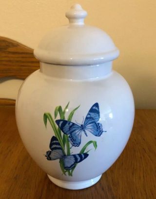 Ceramic Ftd Jar Vase W/ Lid.  Two Blue Butterflies Ginger Jar