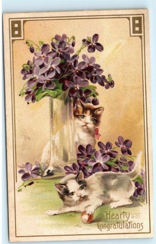 1910 Congratulations Purple Flowers Vase Kittens Kitty Cats Vintage Postcard B70