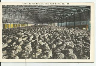 Al Mobile Cotton In Municipal Steel Shed Vintage Postcard Unmailed