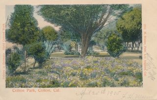 Colton Ca – Hand Colored Postcard – Colton Park – Udb (pre 1908)