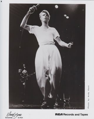 Vintage Press Photograph David Bowie - Rca Records Photo