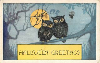 1918 Two Owls On Branch With Full Moon Halloween Greetings Post Card Whitney