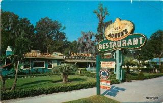1950s Adeebs Ranchero Restaurant Jacksonville Florida Roadside Postcard 3585