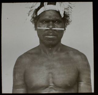 Antique Magic Lantern Slide Aborigine Man With Bone Nose Piercing C1900 Photo