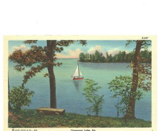 Postcard Sailboat,  Conneaut Lake,  Pa