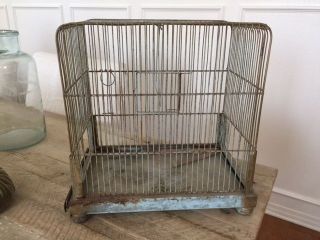 Antique Metal French Blue From France Bird Cage Display