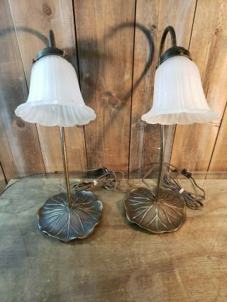 Pair Vintage Brass Fairy Lamp,  Desk,  Table,  Glass Shade,  Metal Goose Neck