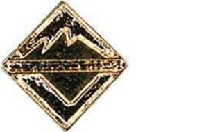 Boy Scout Venture Recognition Device Award Pin Official Bsa Licensed Venturing