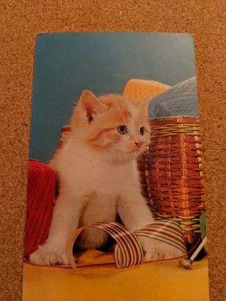 Vintage Cat Postcard.  Two White Kittens With Purple Yarn.  " Pur - R - R - R ".  Not.