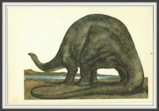 1969 Dinosaur Brontosaurus Animals Paleontology Art Soviet Vintage Postcard