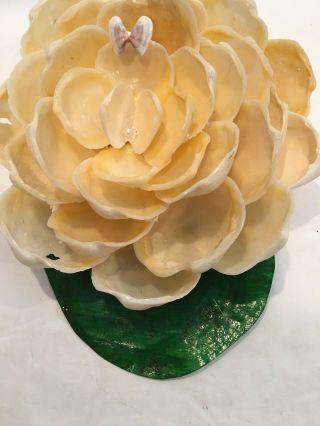 Q 30 Flower I Made From Sea Shells I Picked From Saint Pets Beach