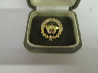 Vintage Masonic Shriner Pin Badge With Gold And Stones