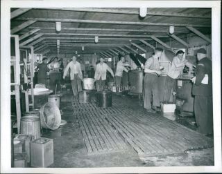 1946 Refugee Camp Workers Food Duppel Palestine Polish Jews Building Photo 7x9