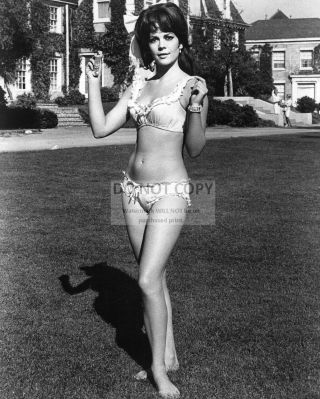 Natalie Wood In The 1966 Film " Penelope " - 8x10 Publicity Photo (zz - 689)