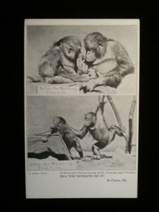 St.  Charles Mo; Goebel Photo; Era The Monkeys Do It