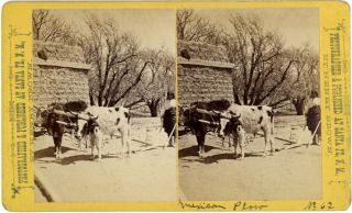 C.  1880 Mexican Plow Tesuque Pueblo Brown,  Santa Fe,  Mexico