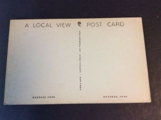 OLD OAK OVER 300 YEARS OLD Postcard Salem,  Jersey Circa 1950 2