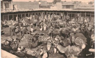 Peshawar Camel Caravan Caravanserai Pakistan 1901