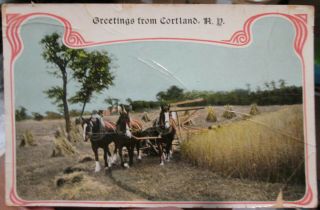 1915 Greetings From Cortland York Farm Grain Harvesting Scene Postcard View