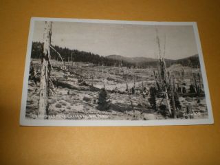 Old Rppc View Devastated Area Lassen Volcano National Park Ca Photo Postcard