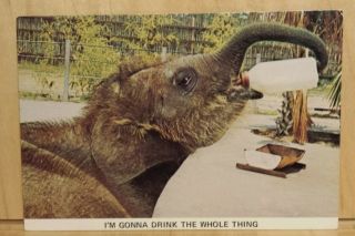 W10) Postcard Elephant Baby Bottle I 