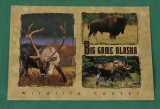 Big Game Alaska - Moose Bison Elk Wildlife Conservation Center Postcard