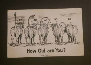 Vintage Risque How Old Are You? Funny Postcard Bull Tails Represent Age