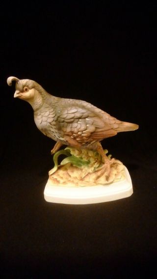 Andrea By Sadek Porcelain Bird Figurine California Quail 9 1/4 "