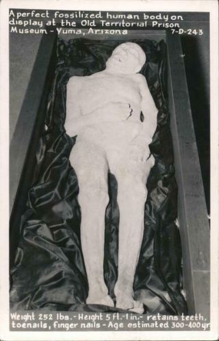 Rppc Yuma,  Az A Perfect Fossilized Human Body On Display At The Old Territorial P