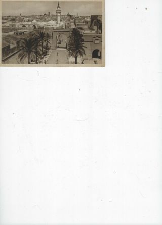 Vintage Postcard " Tripoli - Panorama "