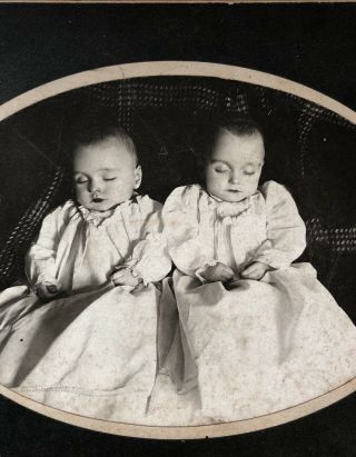 Deceased Post Mortem Dead Baby Twins C 1900 Cabinet Card Photo East St.  Louis Il