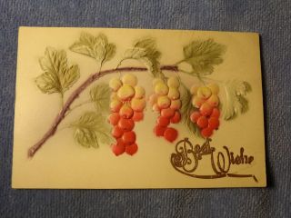 Vintage Postcard Best Wishes,  Grape Vine With Grapes