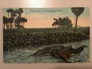 Black Americana Racist Post Card Alligator & Man Lunch