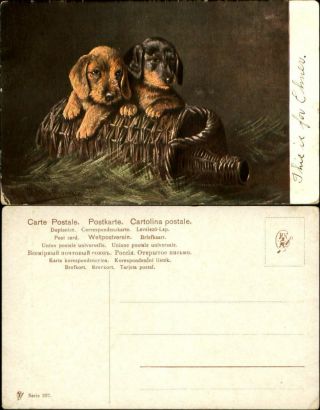 Puppies Dogs Brown Black Wicker Wine Basket Artist Signed Muller C1910
