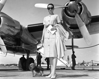 Audrey Hepburn Legendary Actress - 8x10 Publicity Photo (cc542)