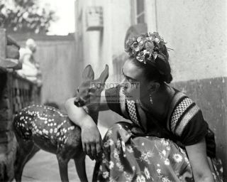 Mexican Painter Frida Kahlo And Pet Deer Granizo - 8x10 Photo (fb - 969)
