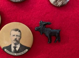1904 ROOSEVELT 8 PRESIDENTIAL CAMPAIGN PINS PTAP MOOSE FIRST VOTERS CLUB JUGATE 5