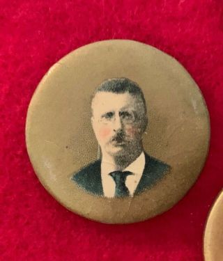 1904 ROOSEVELT 8 PRESIDENTIAL CAMPAIGN PINS PTAP MOOSE FIRST VOTERS CLUB JUGATE 7
