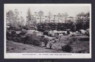 Australia The Pinetrees Guest House,  Lord Howe Island Postcard