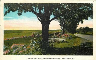 Jersey Postcard: Scenic View Of Fairholm Fars,  Marlboro,  Nj
