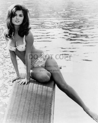 Pamela Tiffin In The 1966 Film " Harper " Pin Up - 8x10 Publicity Photo (dd - 139)