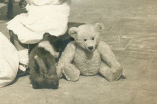 B/W PHOTO SNAPSHOT - NANNY FEEDING YOUNG CHILD - JOINTED STEIFF TEDDY BEAR 3