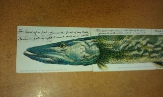1906 Large Pike Fish Complete Huld ' s Puzzle Installment Set 4 Parts Postcard NJ 3