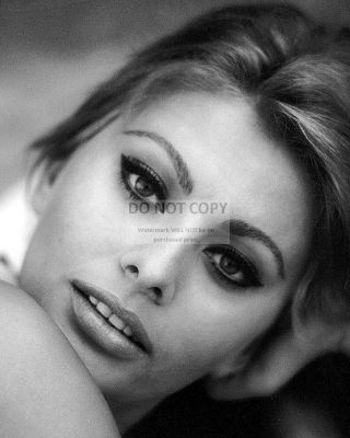 Sophia Loren Legendary Actress Pin Up - 8x10 Publicity Photo (nn - 188)