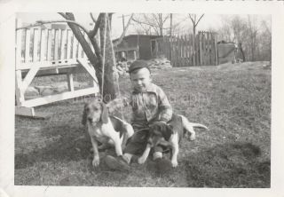 A Boy And His Dogs Found Photo B And W Snapshot Vintage D 810 17 T