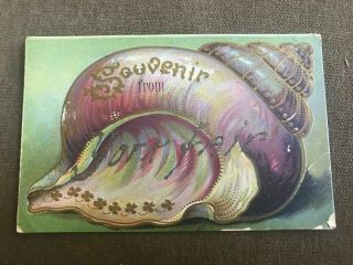 1910s Souvenir From Anywhere Postcard Shell Gold Accents Seashell York Fair